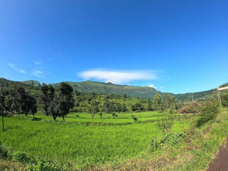 Complete Guide to Kalsubai Trek: Conquer Maharashtra’s Highest Peak