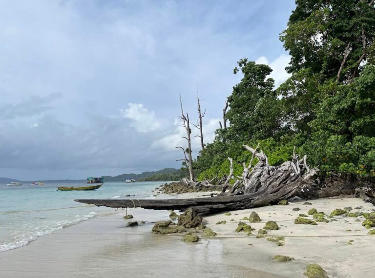 Places to Visit in Andaman in 3 Days – A Perfect Itinerary